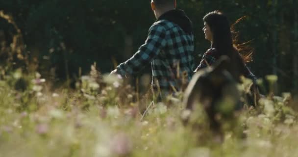 Lovestory montagnard. Homme et femme en chemises à carreaux courent avec leurs chiens Labrador Retriever et Dobermann — Video