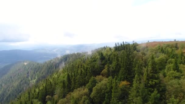 Vista aérea de la campiña montañosa de los Cárpatos en otoño por la mañana, Rumania. Vídeo 4K . — Vídeo de stock