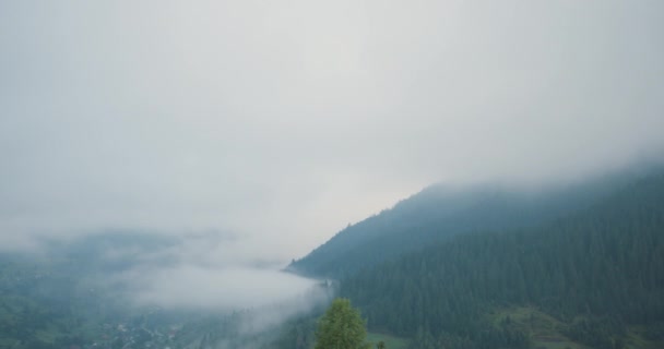 Karpat Dağları açık yeşil doğa scape dağlar vahşi hava kurulması. 4k drone uçuş kuran atış — Stok video