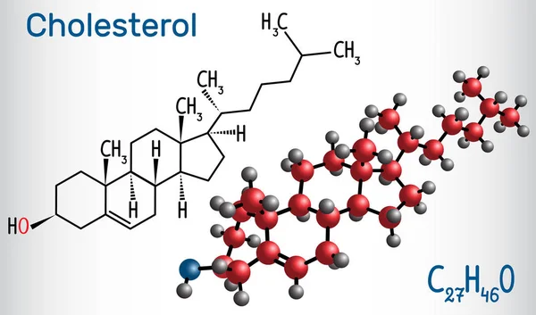 Kolesterol molekülü. Yapısal kimyasal formülü ve molekül modeli. Vektör çizim