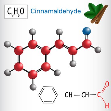 Cinnamaldehyde (Sinanamik aldehid). Aldehitler doğada. Vektör çizim