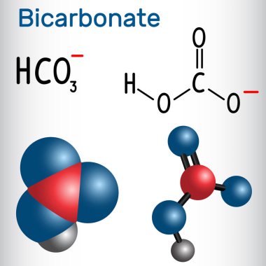 Bicarbonate anion ( HCO3 ) - structural chemical formula and molecule model. Vector illustration clipart
