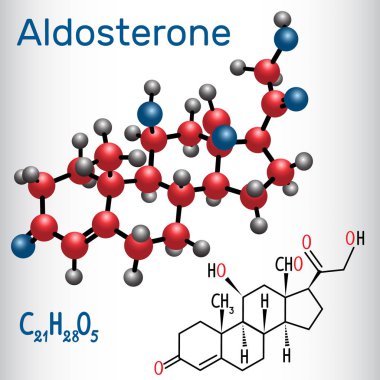 Aldosterone (steroid hormone) - structural chemical formula and molecule model. Vector illustration clipart