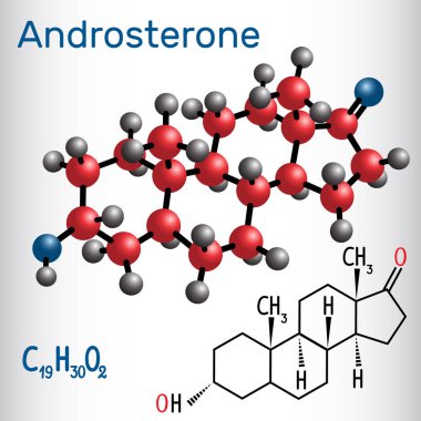 Androsterone (endogenous steroid hormone) - structural chemical formula and molecule model. Vector illustration clipart