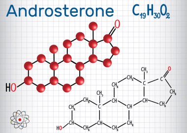 Androsterone (endojen steroid hormon) - yapısal kimyasal formülü ve molekül modeli. Bir kafes içinde sayfa. Vektör illustratio