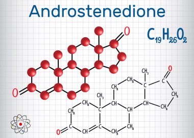 Androstenedion (androjen steroid hormon) - yapısal kimyasal formülü ve molekül modeli. Bir kafes içinde sayfa. Vektör çizim