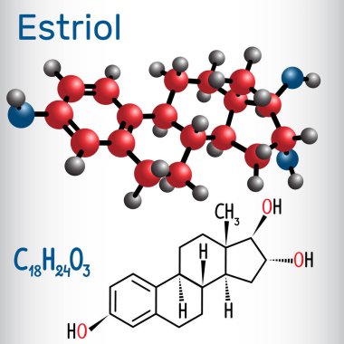 Estriol E3 (estrogen, minor female sex hormone ) - structural chemical formula and molecule model. Vector illustration  clipart