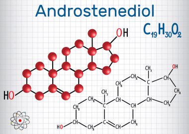 Androstenediol (androjen steroid hormon) - yapısal kimyasal formülü ve molekül modeli. Bir kafes içinde sayfa. Vektör çizim