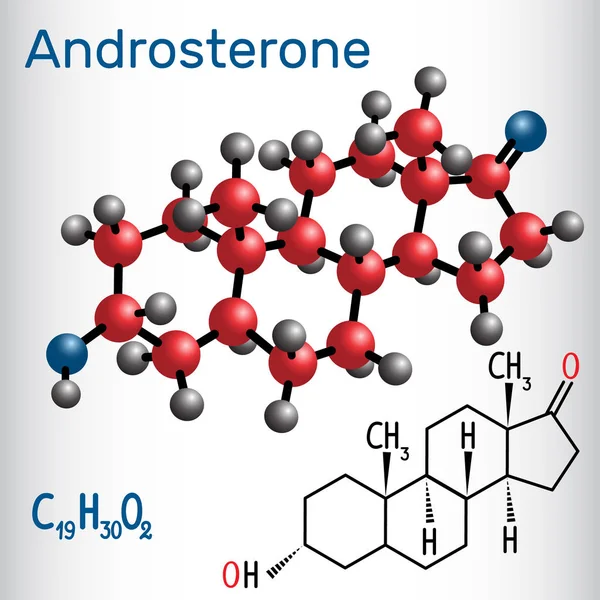 Androsterone (endojen steroid hormon) - yapısal kimyasal formülü ve molekül modeli. Vektör çizim