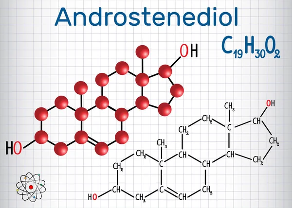 Androstenediol (androjen steroid hormon) - yapısal kimyasal formülü ve molekül modeli. Bir kafes içinde sayfa. Vektör çizim