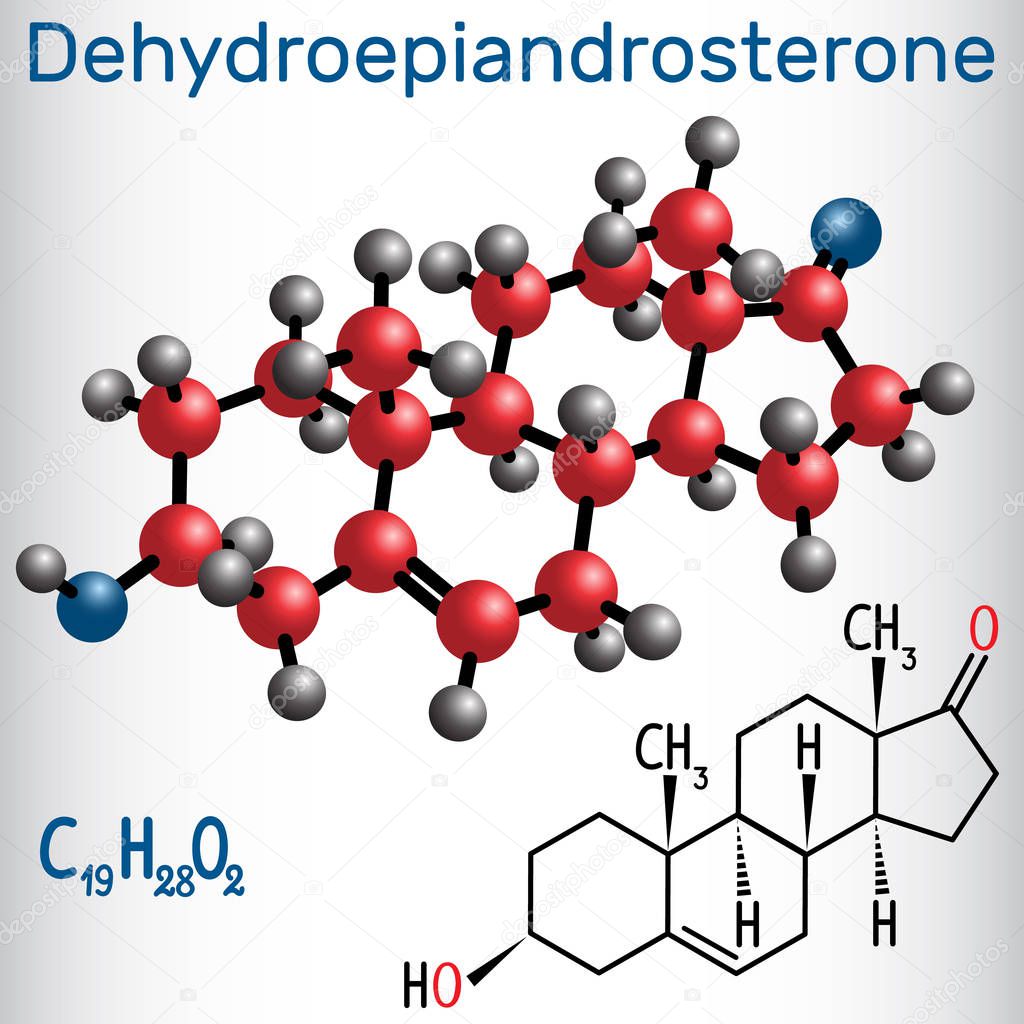 Dehydroepiandrosterone DHEA (androstenolone, endogenous steroid hormone ) - structural chemical formula and molecule model. Vector illustration