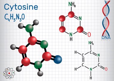 Cytosine (C) - pirimidin nükleobazından, Dna ve Rna Genetik kodda temel birimidir. Bir kafes içinde sayfa. Yapısal kimyasal formülü ve molekül modeli. Vektör çizim 