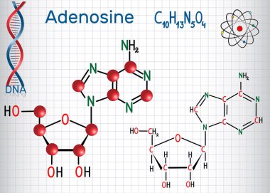 Adenosine - purine nucleoside molecule, is important part of ATP, ADP, cAMP , RNA, DNA. Sheet of paper in a cage. Structural chemical formula and molecule model. Vector illustratio clipart