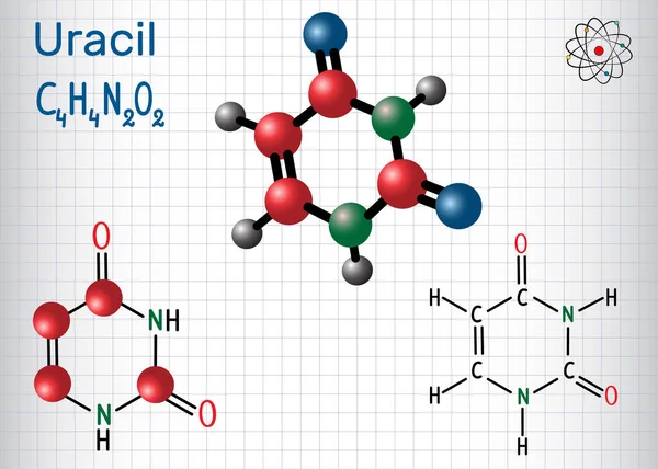 Uracilu Pyrimidinu Nucleobase Nukleové Kyseliny Rna Strukturální Model Chemický Vzorec — Stockový vektor