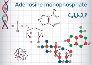 Adenozin monofosfattır (Amp) molekül, fosforik asit ve nükleozit adenozin monomer Rna üretiminde bir ester dir. Bir kafes içinde sayfa