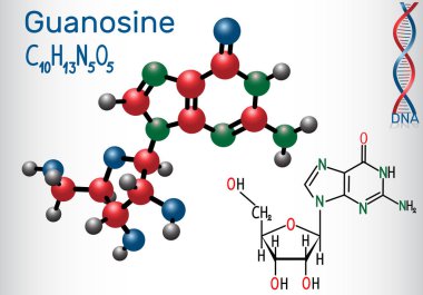 Guanozin - pürin nükleozit molekül, parçasıdır önemli Gmp, GSYİH, cgmp, Gtp, Rna, Dna. Yapısal kimyasal formülü ve molekül modeli. Vektör illustratio
