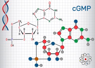 Siklik guanozin monofosfattır (cgmp) molekül. Bir kafes içinde sayfa. Yapısal kimyasal formülü ve molekül modeli. Vektör illustratio