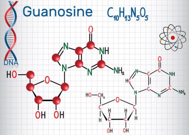 Guanozin - pürin nükleozit molekül, parçasıdır önemli Gmp, GSYİH, cgmp, Gtp, Rna, Dna. Yapısal kimyasal formülü ve molekül modeli. Bir kafes içinde sayfa