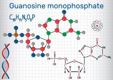 Guanozin monofosfattır (Gmp) molekül, monomer Rna içinde. Yapısal kimyasal formülü ve molekül modeli. Bir kafes içinde sayfa. Vektör çizim