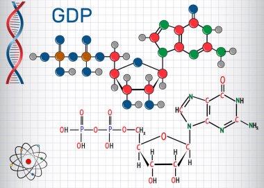 Guanozin nükleotittir (GSYİH) molekül. Yapısal kimyasal formülü ve molekül modeli. Bir kafes içinde sayfa. Vektör illustratio