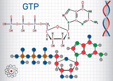 Guanozin trifosfat (Gtp) molekül, protein sentezi için sentez Rna'nın ve enerji kaynağı olarak kullanılmaktadır. Bir kafes içinde sayfa. Yapısal kimyasal formülü ve molekül modeli. Vektör illustratio