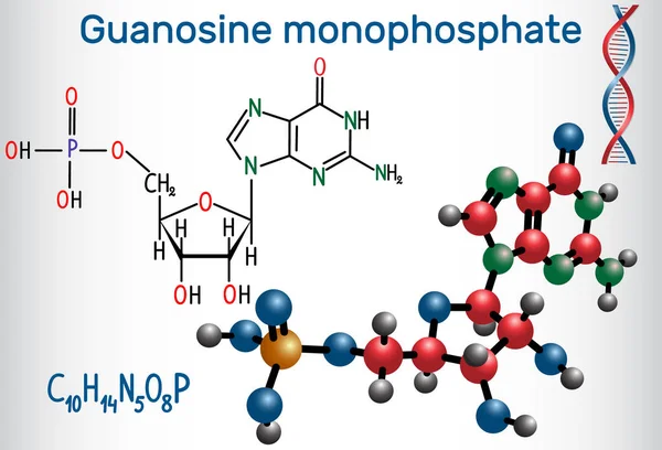 Monofosfato Guanosina Gmp Molécula Éster Ácido Fosfórico Con Nucleósido Guanosina — Vector de stock