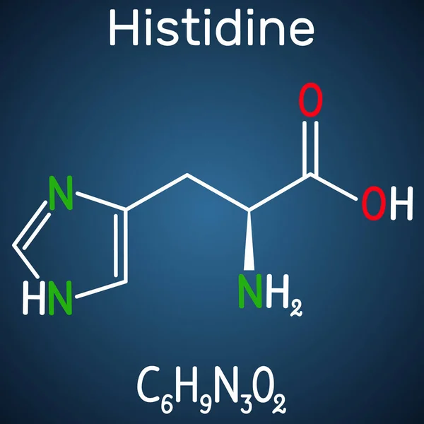 हिस्टिडिन एल-हिस्टिडीन, त्याचे, एमिनो acidसिड रेणू. हे प्रथिने बायोसायन्सेसमध्ये वापरले जाते. गडद निळा पार्श्वभूमीवर स्ट्रक्चरल रासायनिक सूत्र — स्टॉक व्हेक्टर