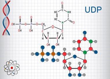 Uridine diphosphate UDP nucleotide molecule. Structural chemical formula and molecule model. Sheet of paper in a cage clipart