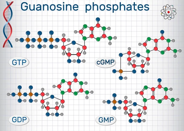 Guanosinphosphate Guanosintriphosphat, Guanosindiphosphat, Guanosinmonophosphat, zyklisches Guanosinmonophosphat. Blatt Papier im Käfig — Stockvektor