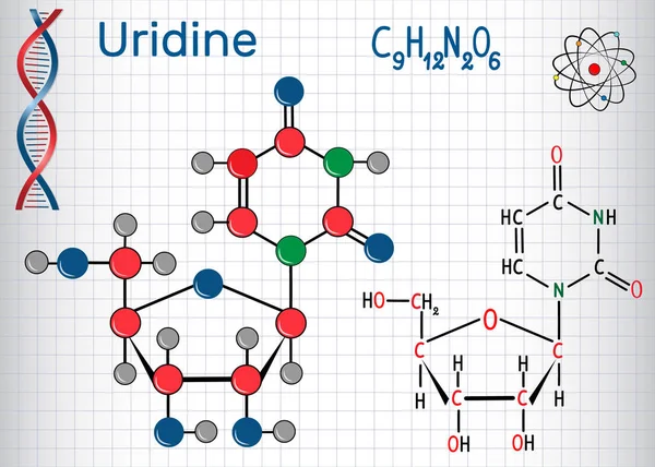 Molekula uridin-Pyrimidin je důležitou součástí RNA. Strukturní chemický vzorec a model molekuly. List papíru v kleci. — Stockový vektor