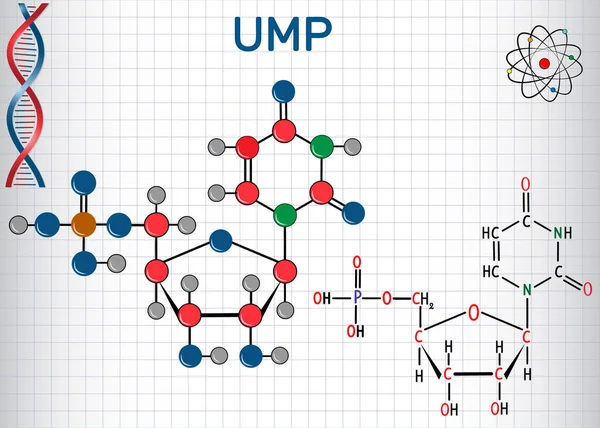 Uridine monofosfat UMP nükseotid molekül, RNA monomer. Yapısal kimyasal formül ve molekül modeli. Bir kafeste kağıt levha