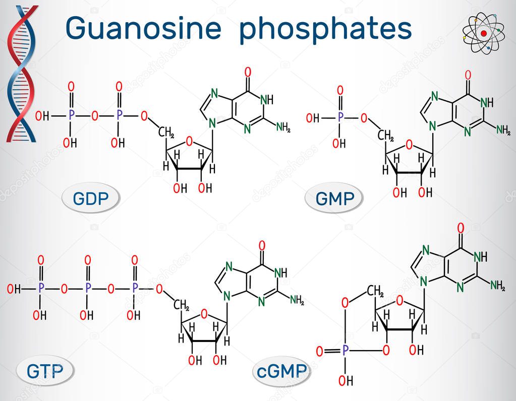 Guanosine phosphates guanosine triphosphate, guanosine diphosphate, guanosine monophosphate, cyclic guanosine monophosphate . Structural chemical formula of phosphate nucleotides that are the building