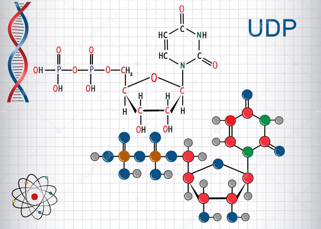 Uridine diphosphate UDP nucleotide molecule. Structural chemical formula and molecule model. Sheet of paper in a cage