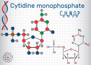 Cytidine monofosfat CMP molekül, RNA 'da monomer. Bir kafeste kağıt levha.