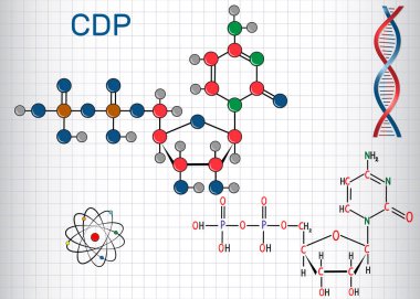 Cytidine difosfat CDP molekül, nükloside molekül. Yapısal kimyasal formül ve molekül modeli. Bir kafeste kağıt levha
