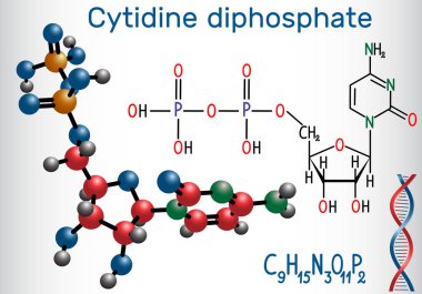 Cytidine difosfat CDP molekül, nükloside molekül. Yapısal kimyasal formül ve molekül modeli
