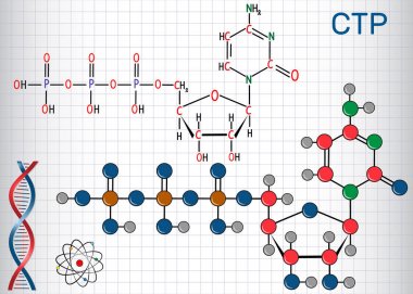 Cytidine trifosfat CTP molekül, bu pirimidin nükloside molekül. Yapısal kimyasal formül ve molekül modeli. Bir kafeste kağıt levha