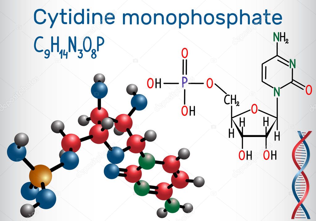 Cytidine monophosphate CMP molecule, it is an ester of phosphoric acid and the nucleoside cytidine, monomer in the RNA . Structural chemical formula and molecule model