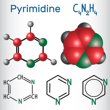 Pirimidin molekülü, aromatik heterosiklik organik bileşiktir. Yapısal kimyasal formül ve molekül modeli