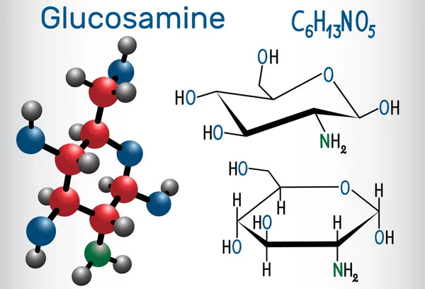 Molécula de glucosamina, es uno de los monosacáridos más abundantes, es suplemento dietético. Fórmula química estructural y modelo molecular — Vector de stock