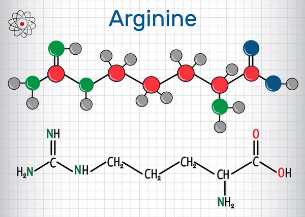 Arginin Arg, R aminosyremolekyle, det anvendes i biosyntesen af proteiner. Strukturel kemisk formel og molekylemodel. Papir i bur – Stock-vektor