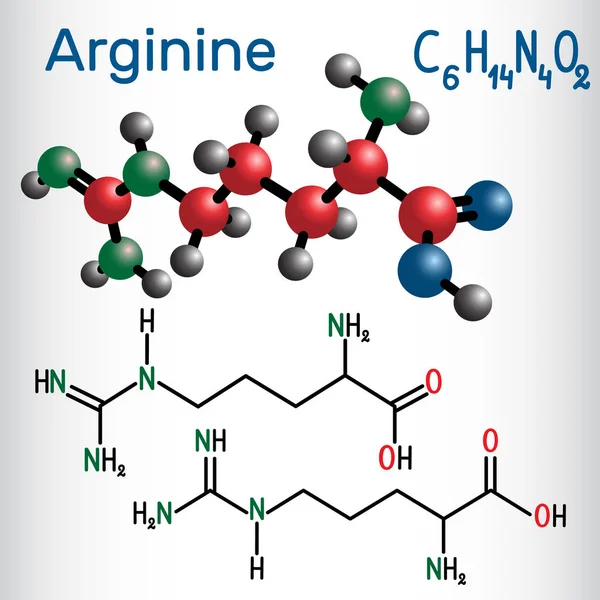 Arginina Arg, molécula de aminoácidos R, se utiliza en la biosíntesis de las proteínas. Fórmula química estructural y modelo molecular — Vector de stock