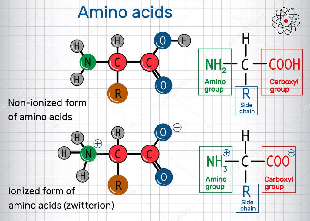 General formula of amino acids, ionized and non-ionized zwitterion forms. Structural chemical formula and molecule model. Sheet of paper in a cage