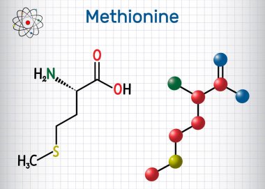 Metiyonin l- metiyonin, Met , M esansiyel amino asit molekülü. Kafesteki kağıt parçası. Yapısal kimyasal formül ve molekül modeli