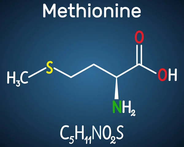 Metionina L-metionina, Met, M molécula esencial de aminoácidos. Fórmula química estructural sobre el fondo azul oscuro — Vector de stock