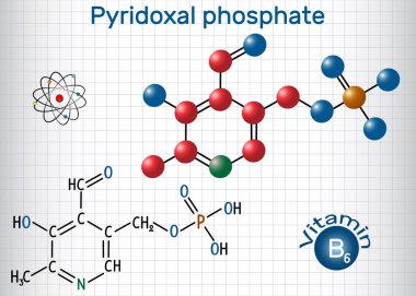 Pirioksal fosfat Plp, piridoksal 5'-fosfat, P5p , B6 vitamini, bir koenzimdir. Yapısal kimyasal formül ve molekül modeli. Kafesteki kağıt levha