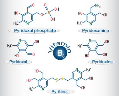 Vitamin B6 pirioksal fosfat, pirioksamin, pirioksal, piritinol, piridoksin . Yapısal kimyasal formül ve molekül modeli