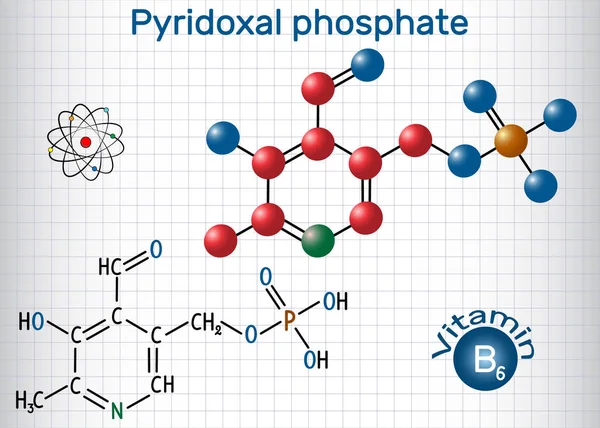 O fosfato piridoxal PLP, piridoxal 5 '-fosfato, P5P, vitamina B6, é uma coenzima. Fórmula química estrutural e modelo de molécula. Folha de papel em uma jaula —  Vetores de Stock