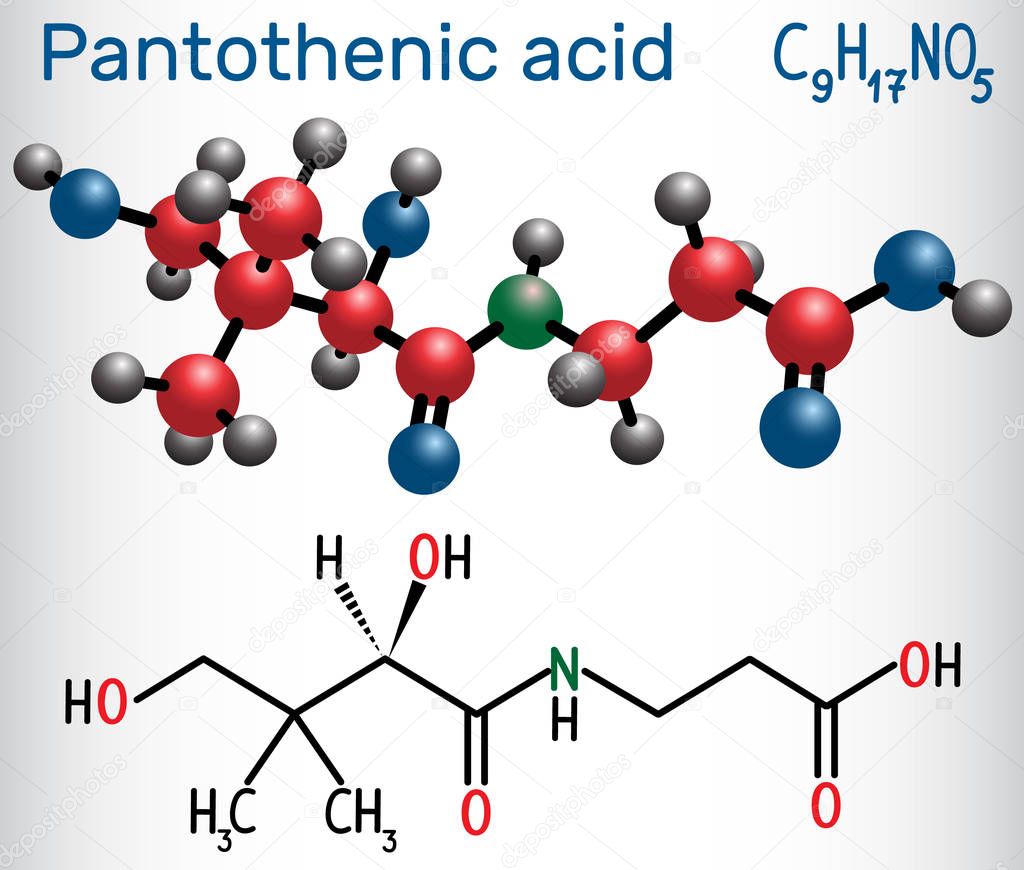 Pantothenic acid vitamin B5, pantothenate . Structural chemical formula and molecule model.