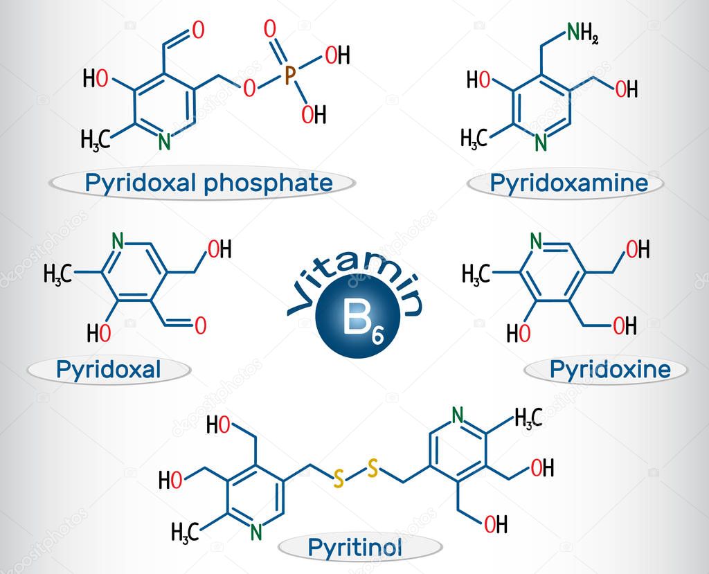 Vitamin B6 pyridoxal phosphate, pyridoxamine, pyridoxal , pyritinol, pyridoxine . Structural chemical formula and molecule model